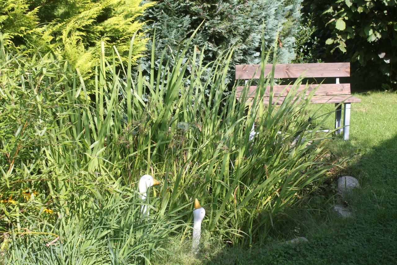 Ferienhaus Kleine Hexe Thale Buitenkant foto